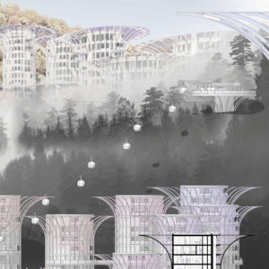 2025 - Vignette Suzon Remoissenet Remoissenet Suzon Planche 6 copie