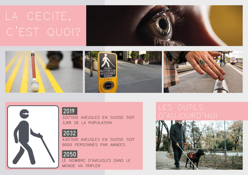 Analyse20canne20blanche title=