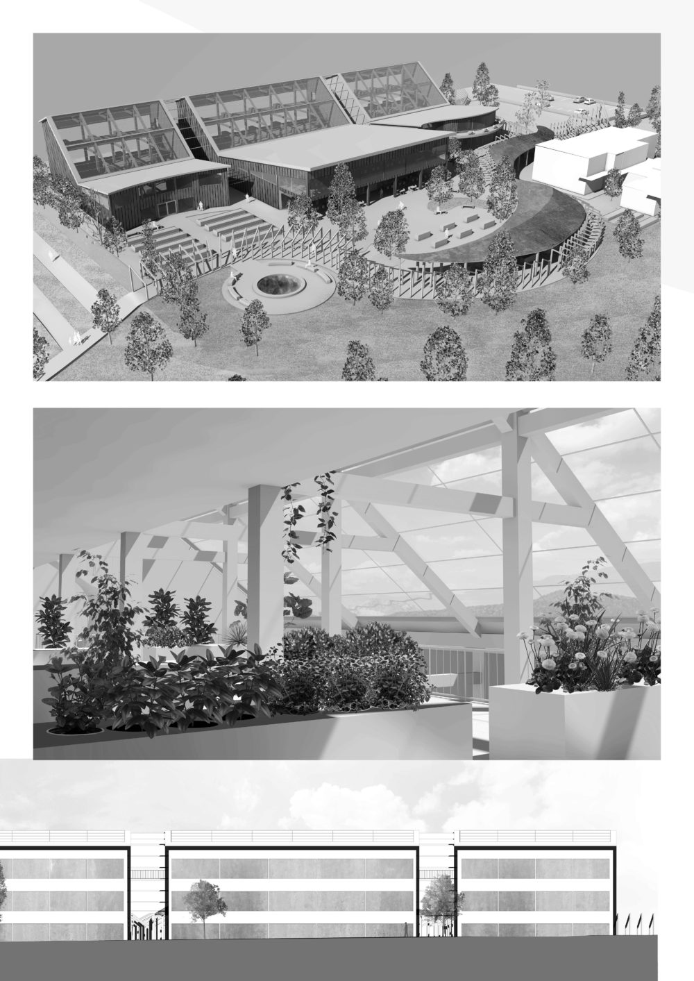 Klara Raicevic PLANCHE JPG Page 6 title=