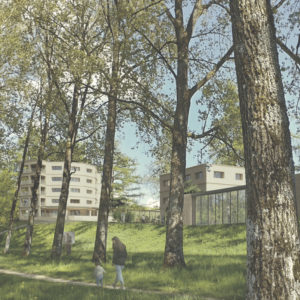 2025 - Vignette gregory tache