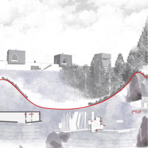 2021 - Vignette marci pinto