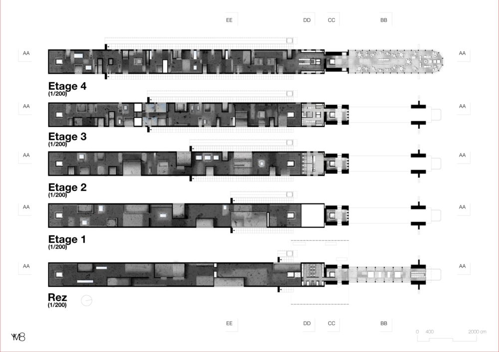 Yriel Muth 8 title=
