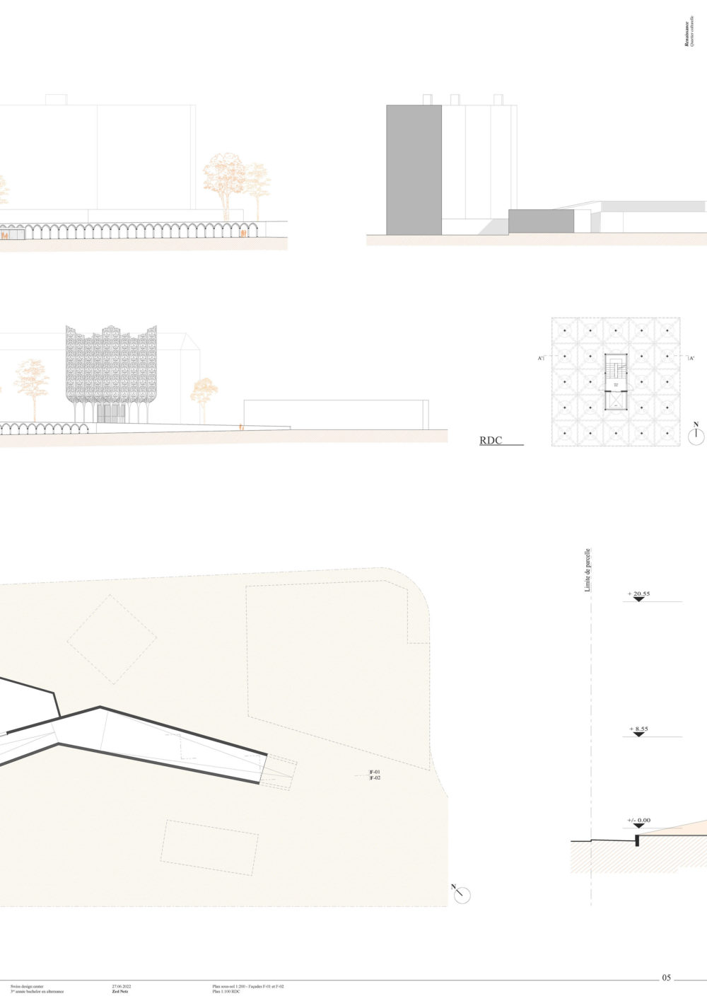 Zed Netz Planches 5 title=