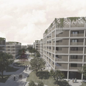 2023 - Clément Bois vignette